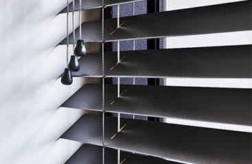 Cruises & Water Tours